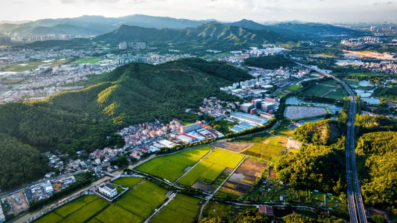 市“百千万工程”指挥部会议召开：紧盯短板弱项 狠抓工作落实 推动中山“百千万工程”迈向一流